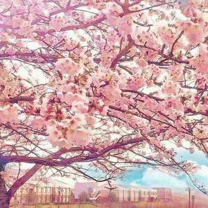 和女友在厨房做爰疯狂
